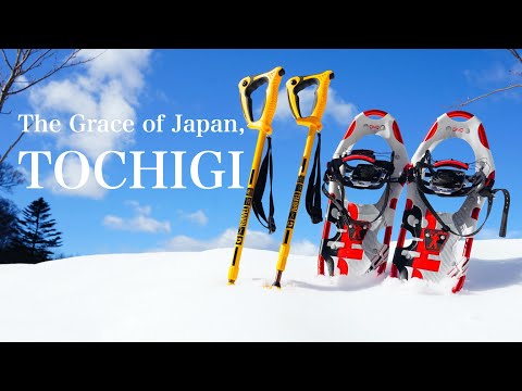 Wild Winter Activity. " The Grace of Japan, TOCHIGI "