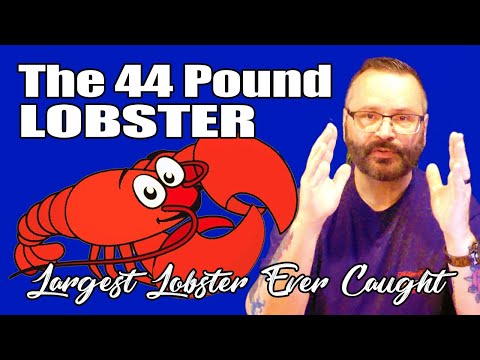 6 Most Interesting Lobsters Ever Caught - 44 pounds - 140 Years Old