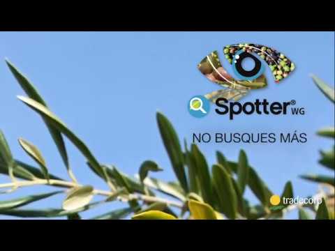 video media thumbnail