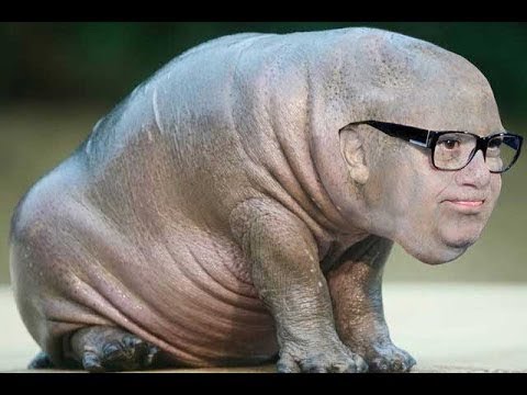 (SUPER HARD) TRY NOT TO LAUGH or GRIN (CLEAN)