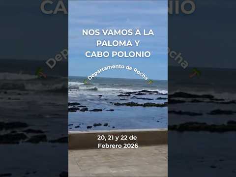 ✨🌊 EXCURSIÓN A LA PALOMA Y CABO POLONIO 🦭🐚🌴🌴📍 Departamento de Rocha