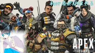初心者がAPEXやる
