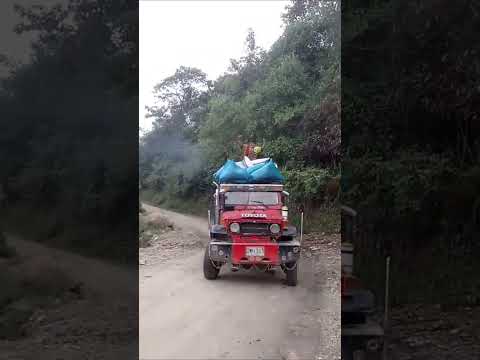 bajando café en toyota por la vereda la Maria de Teruel Huila #campo #cafe #toyota