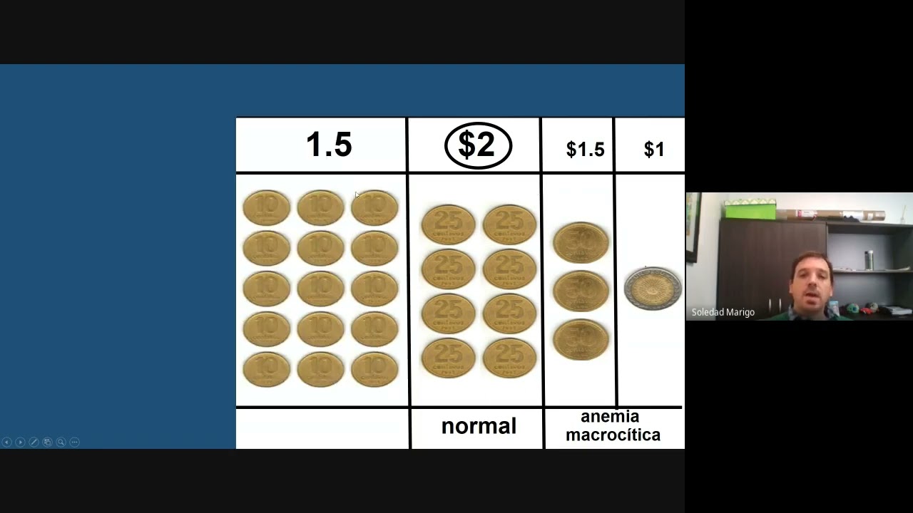 Seminario Integrador Clinica Médica - Anemias