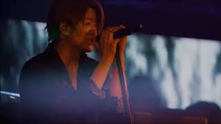 Coyote, Colored Darkness