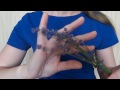 ASMR/АСМР на Русском языке/Прикосновения/ 