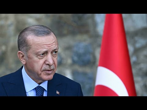 ما الهدف من زيارة الرئيس التركي أردوغان إلى دولة قطر؟