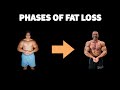 The Phases of Fat Loss - How to REALLY Lose Weight