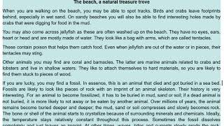 The beach, a natural treasure trove