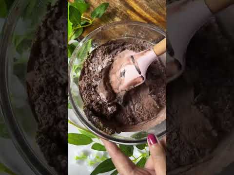 chocolate brownies 🥧