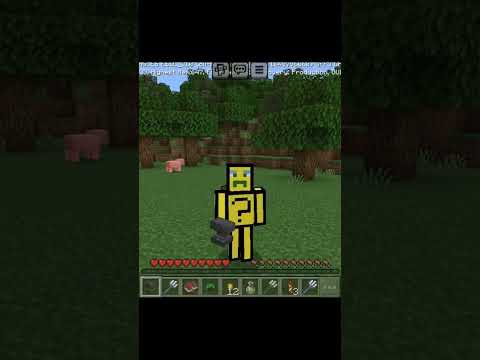 Insane Minecraft Item Hack - You Won't Believe What I Collected #shorts