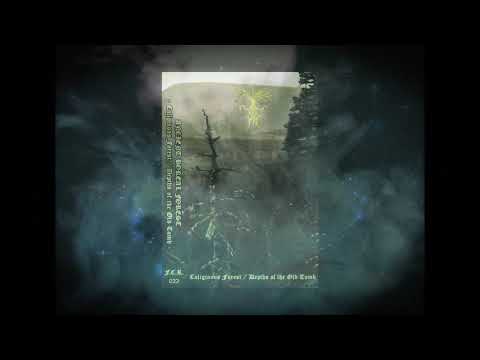 Ancient Boreal Forest - Witch Toad Woman