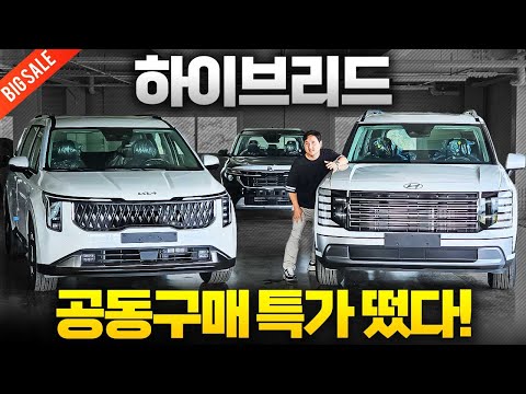 ????하브를 월 66만원에!???? 카니발, 팰리세이드 하브 우파 단독 공동구매 특가 떴다! 허위매물 속지마세요!