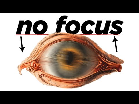 Why You Can’t Focus (The Real Reason)