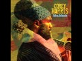Corey Harris - Conquering Lion