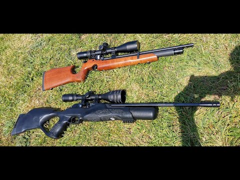 Walther Rotex RM8 vs Air Arms s200 - which rifle is better?