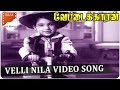 Velli Nila Video Song Vettaikaran Movie MGR Savitri South Video Songs