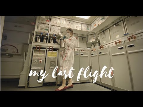 눈물의 마지막 비행 😭  (feat, 입사부터 퇴사까지 에미레이츠와의 추억 대공개!)