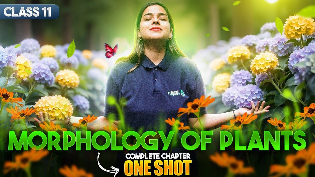 Morphology of Flowering Plants Class 11 One Shot | NCERT Biology FULL Chapter Revision