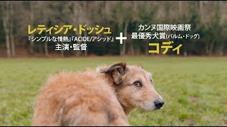 Trailer Preview Image