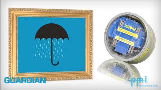 Guardian Socket Meter