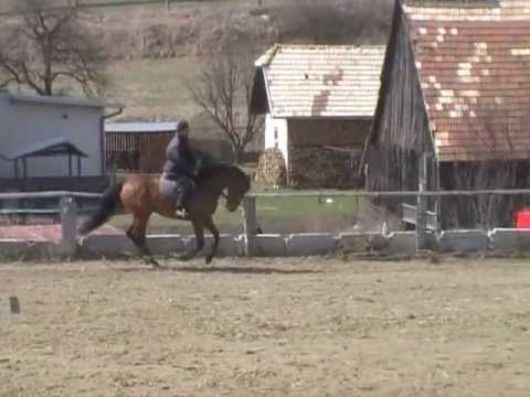 Carpe Diem ( Cash and Carry x Feenspross)