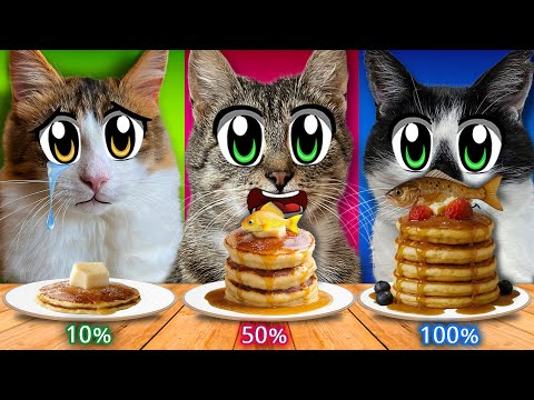 10% VS 50% VS 100% от ЕДЫ ЧЕЛЛЕНДЖ! КТО из КОТОВ ПОБЕДИТ В ЧЕЛЛЕНДЖЕ?