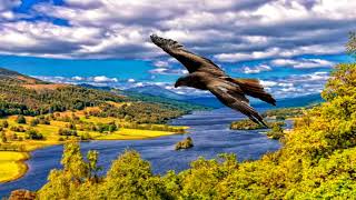 Expression of Glory by Songs For The Second Axial Age