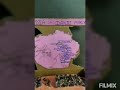 Vaishnav Jan To Tene Kahiye Je Peer Parai Jane Re