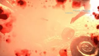 Battlefield 4 BONMISS