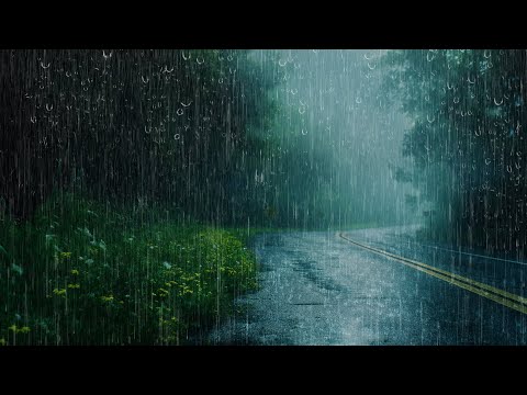 Sleep Instantly with Heavy Rain, Strong Wind & Thunder on the foggy road | Goodbye Stress & Insomnia