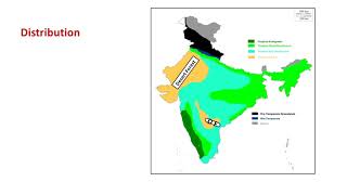 ICSE CLASS 10 GEOGRAPHY- NATURAL VEGETATION