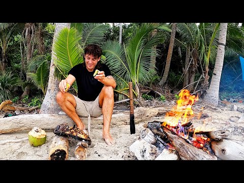 3 Days Solo Remote Island Survival Spearfishing - Day 2