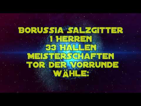 33 Stadtmeisterschaften 1 Herren Tore Borussia Salzgitter Tor der Vorrunde
