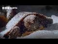 Frozen Alive How Painted Baby Turtles Survive The Cold Life In Cold Blood BBC Earth