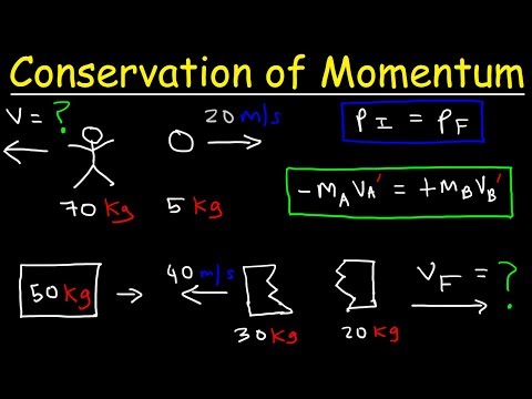 Conservation of Momentum Physics Problems - Basic Introduction