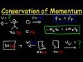 Master Conservation of Momentum: Solved Physics Problems Explained