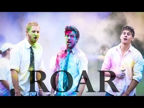 Roar - Katy Perry Official Music Video (Acapella Cover)