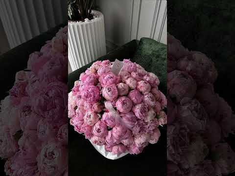 beautiful flowers in beautiful song beautiful effect #music #cover #coversong