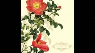 David C Clements - Oh Child