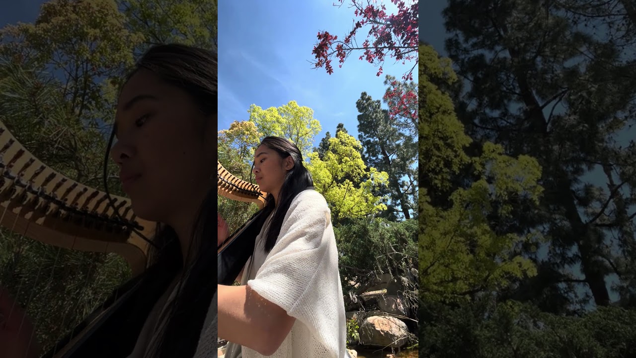 Promotional video thumbnail 3 for Hannah's Harp