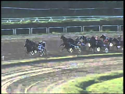 Trotto 19/10/2014 - 6° corsa - GP Freccia D'Europa