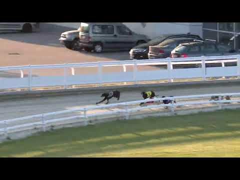 2022.05.20. 01. futam - Májusi Trófea