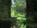 Ummai Nambum Naan Tamil Christian Song Shorts Shortsvideo Shortsfeed Tamilchristiansongs