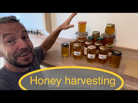 No Extractor? Harvest Honey via Crush & Strain Method!