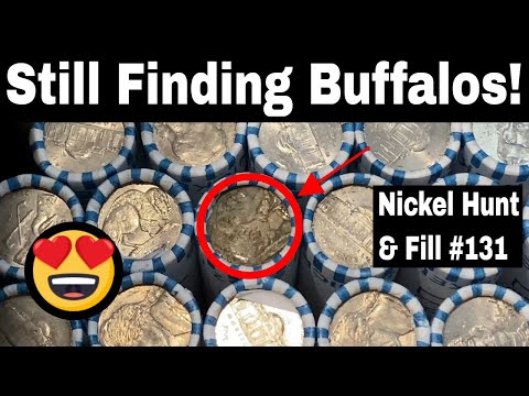 More Buffalo Nickels - Nickel Hunt and Fill #131