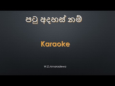 Patu adahas Karaoke