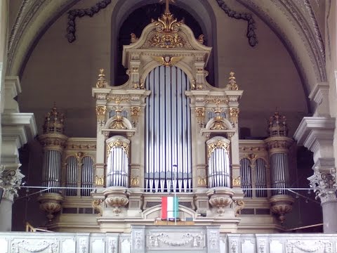 Ch.M.Widor: Bach's  Memento Anasztazia Bednarik -organ