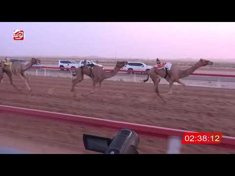  ش 4 (جلمود) لـ هزاع حمد بن محمد الدرعي 6:41:47 ، مهرجان العين 2026/07/10 إيذاع الوقن