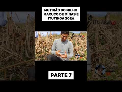 MUTIRÃO DO MILHO MACUCO DE MINAS E ITUTINGA 2026
